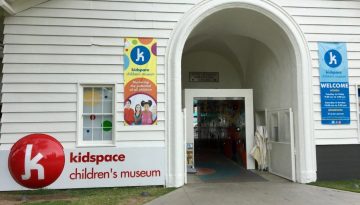 Weasel at Kidspace
