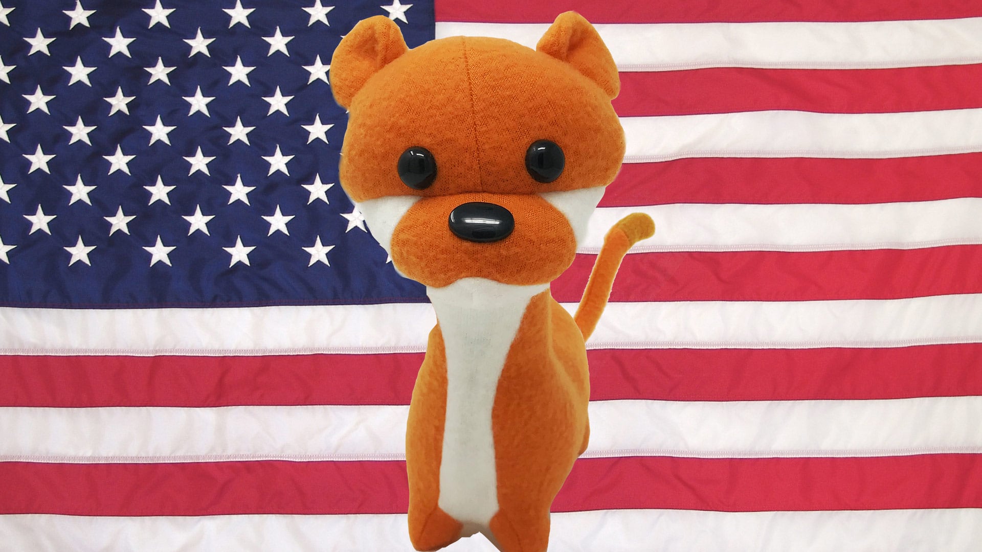 4th of July Weasel