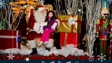 Magical BLVD Christmas